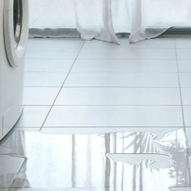 Appliance Leak Cleanup in Wayne County, MO