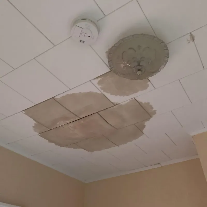 Ceiling Water Damage Repair in Wayne County, MO